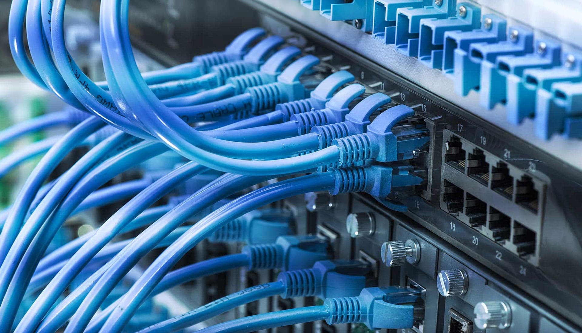 Blue Cat6 network cables neatly terminated into a patch panel and network switch