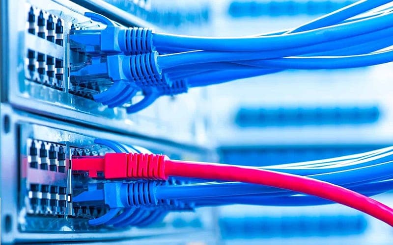 Blue Cat6 patch leads terminated into a network patch panel