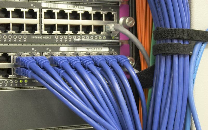 Network switch with purple Cat6 patch leads bundled and cable-tied