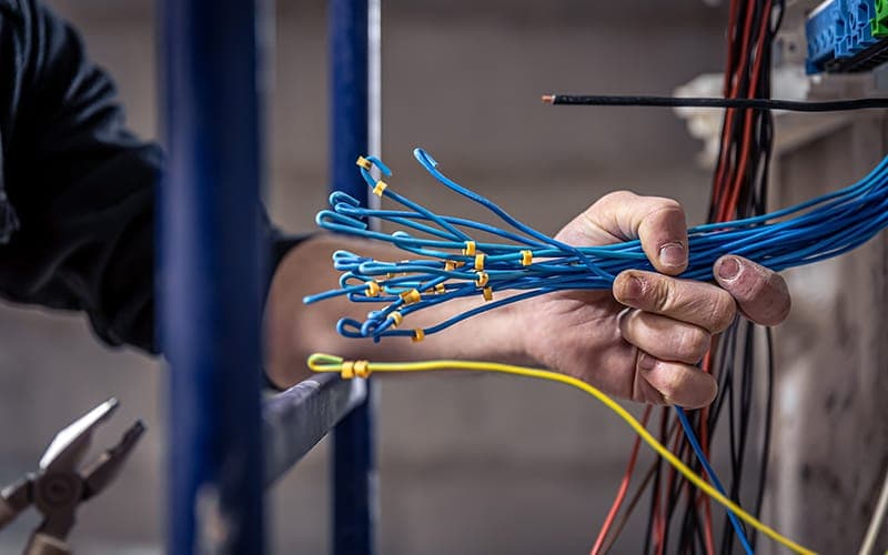 Installer holding a bundle of terminated blue Cat6 data cables on site